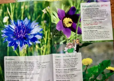 Offenes Kräuterbuch mit Bildern und Beschreibungen von Kornblumen, Schlüsselblumen und Löwenzahn. Darunter ist teilweise ein weiteres Büchlein sichtbar.